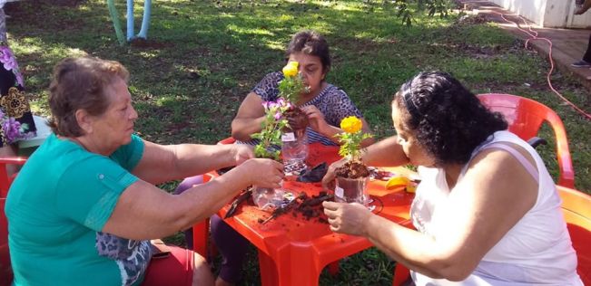 DIRETORIA DO MEIO AMBIENTE REALIZA PLANTIO DE MUDAS FLORAIS NO CCI