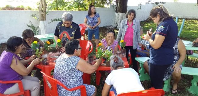 DIRETORIA DO MEIO AMBIENTE REALIZA PLANTIO DE MUDAS FLORAIS NO CCI