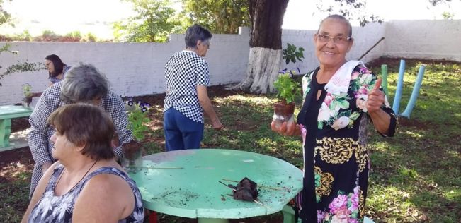 DIRETORIA DO MEIO AMBIENTE REALIZA PLANTIO DE MUDAS FLORAIS NO CCI