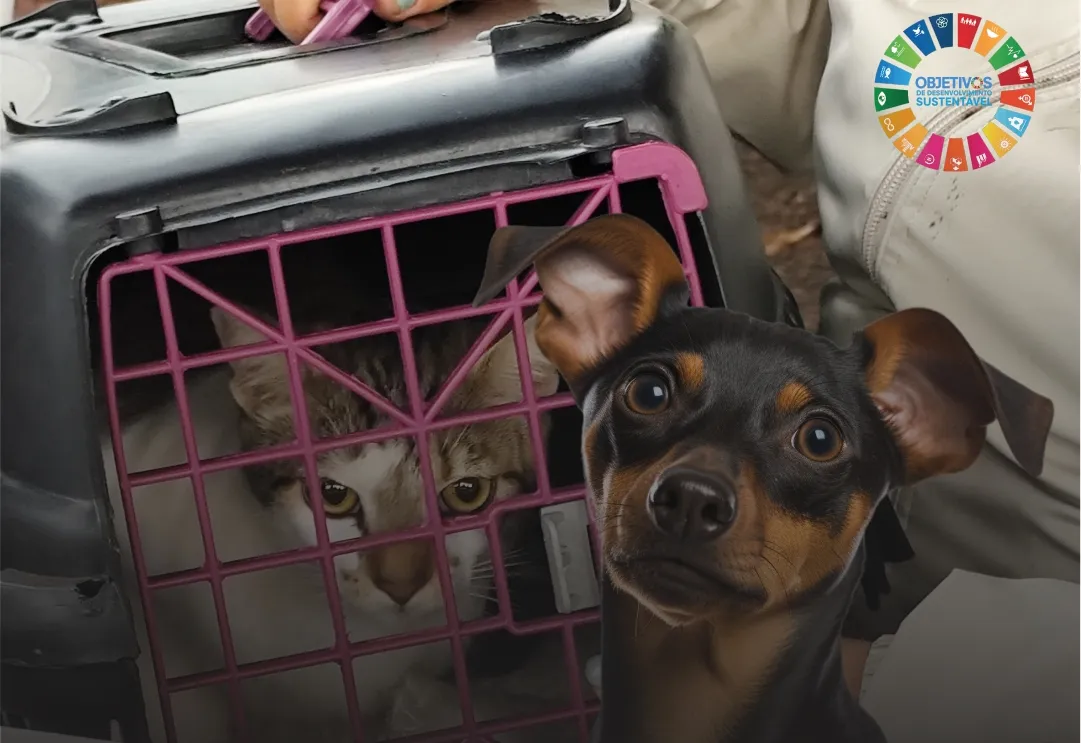 MAIS CUIDADO, SAÚDE E RESPONSABILIDADE COM OS NOSSOS ANIMAIS!