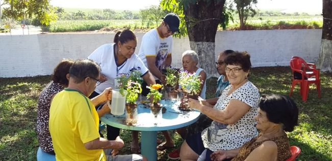 DIRETORIA DO MEIO AMBIENTE REALIZA PLANTIO DE MUDAS FLORAIS NO CCI