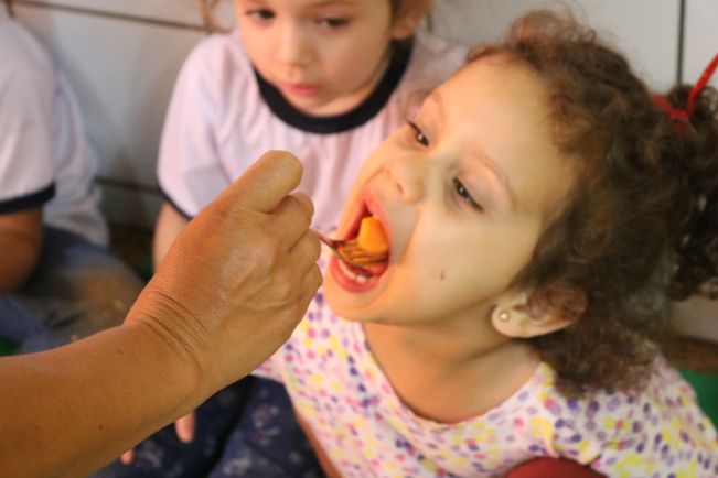 CRECHE ESCOLA PRÓ-INFÂNCIA PADRE DANILO CAPPELLETTO REALIZA PROJETO CORES