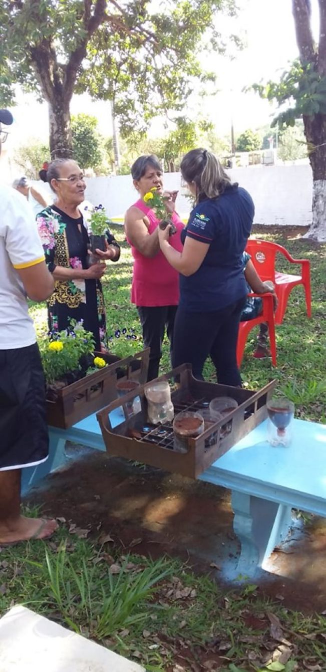 DIRETORIA DO MEIO AMBIENTE REALIZA PLANTIO DE MUDAS FLORAIS NO CCI