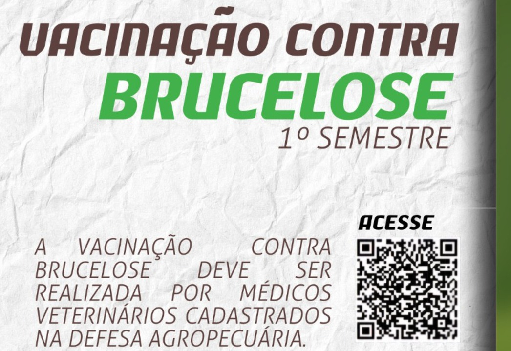 Vacinação contra Brucelose - 1º Semestre