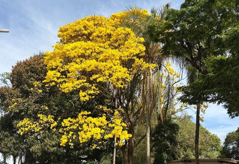 Florínea está ainda mais encantadora!