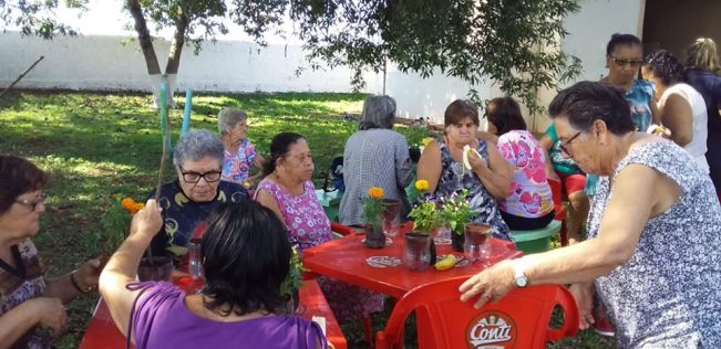DIRETORIA DO MEIO AMBIENTE REALIZA PLANTIO DE MUDAS FLORAIS NO CCI